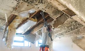 Mold Remediation for Rental Properties